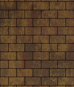 Тротуарная плитка ПРЯМОУГОЛЬНИК 200х100 Листопад гранит Осень Б.2.П.6 Выбор 60 мм