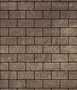 Тротуарная плитка ПРЯМОУГОЛЬНИК 200х100 Листопад гладкий Хаски Б.2.П.6 Выбор 60 мм