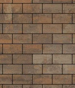 Тротуарная плитка ПРЯМОУГОЛЬНИК 240х120 Листопад гладкий Клен Б.3.П.6 Выбор 60 мм