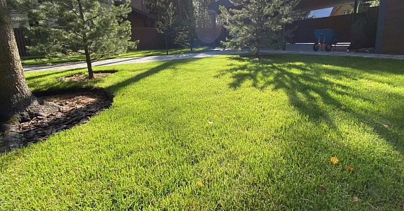 Укладка на неподготовленное основание под ключ (расширенный пакет)