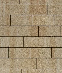 Тротуарная плитка ПРЯМОУГОЛЬНИК 300х150 Искусственный камень Степняк Б.10.П.8 Выбор 80 мм