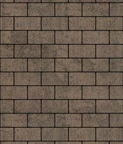 Тротуарная плитка ПРЯМОУГОЛЬНИК 200х100 Листопад гладкий Шелковица Б.2.П.6 Выбор 60 мм