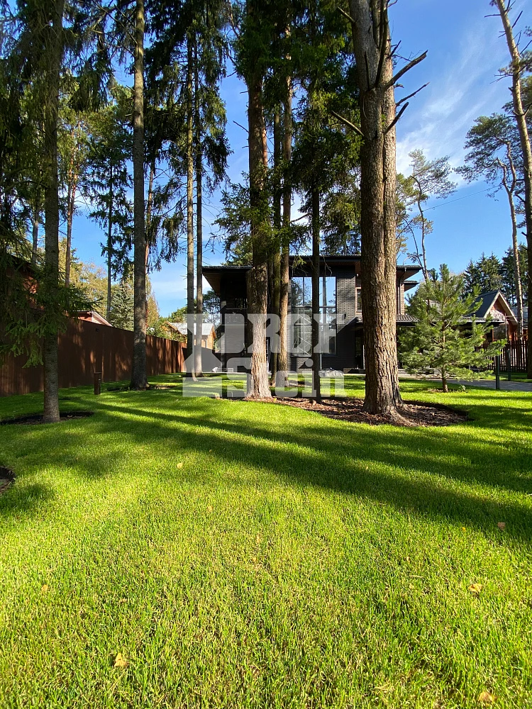 Укладка тротуарной плитки Штайн Блэк от Steingot