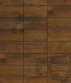 Тротуарная плитка ПРЯМОУГОЛЬНИК 300х150 Листопад гладкий Саванна Б.10.П.8 Выбор 80 мм