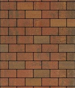 Тротуарная плитка ПРЯМОУГОЛЬНИК 200х100 Листопад гладкий Арабская ночь Б.2.П.6 Выбор 60 мм