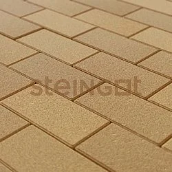 Тротуарная плитка Прямоугольник 200*100 Желтый (верхний прокрас, минифаска) Steingot 60 мм