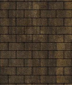 Тротуарная плитка ПРЯМОУГОЛЬНИК 200х100 Листопад гранит Мокко Б.2.П.6 Выбор 60 мм