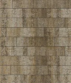 Тротуарная плитка ПРЯМОУГОЛЬНИК Искусственный камень Доломит В.11.П.10 Выбор 100 мм