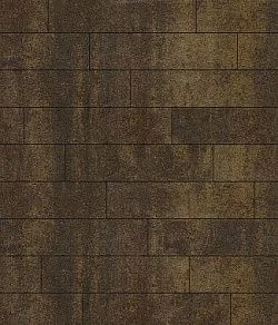 Тротуарная плитка ПРЯМОУГОЛЬНИК Листопад гранит Мокко В.11.П.10 Выбор 100 мм