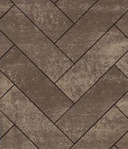 Тротуарная плитка ПРЯМОУГОЛЬНИК 600х200 Листопад гладкий Хаски Б.6.П.8 Выбор 80 мм