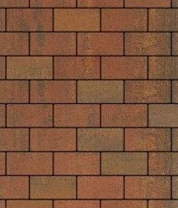 Тротуарная плитка ПРЯМОУГОЛЬНИК 240х120 Листопад гладкий Арабская ночь Б.3.П.6 Выбор 60 мм