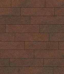 Тротуарная плитка ПРЯМОУГОЛЬНИК Листопад гранит Клинкер В.11.П.10 Выбор 100 мм