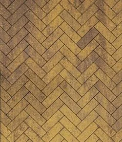 Тротуарная плитка ПАРКЕТ Листопад гладкий Янтарь Б.4.П.6 Выбор 60 мм