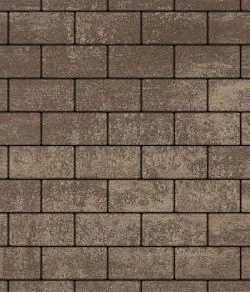 Тротуарная плитка ПРЯМОУГОЛЬНИК 240х120 Листопад гладкий Хаски Б.3.П.6 Выбор 60 мм