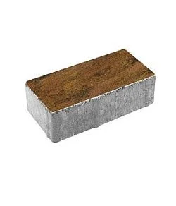 Тротуарная плитка ПРЯМОУГОЛЬНИК 200х100 Листопад гладкий Саванна Б.2.П.6 Выбор 60 мм