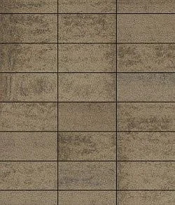 Тротуарная плитка ПРЯМОУГОЛЬНИК 300х150 Листопад гладкий Старый замок Б.10.П.8 Выбор 80 мм