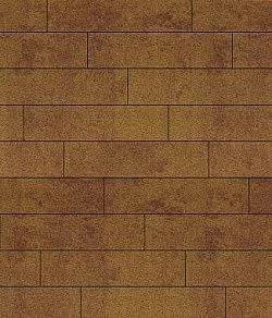 Тротуарная плитка ПРЯМОУГОЛЬНИК Листопад гранит Каир В.11.П.10 Выбор 100 мм