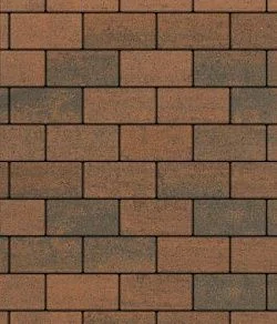 Тротуарная плитка ПРЯМОУГОЛЬНИК 240х120 Листопад гладкий Мустанг Б.3.П.6 Выбор 60 мм