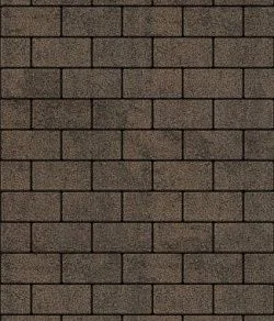 Тротуарная плитка ПРЯМОУГОЛЬНИК 200х100 Листопад гранит Шелковица Б.2.П.6 Выбор 60 мм