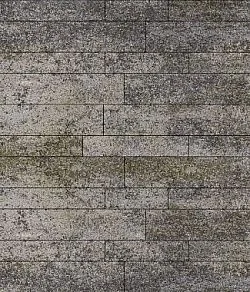 Тротуарная плитка ПАРКЕТ Искусственный камень Габбро Б.16.Псм.8 Выбор 80 мм