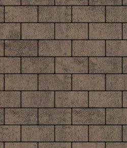 Тротуарная плитка ПРЯМОУГОЛЬНИК 240х120 Листопад гладкий Шелковица Б.3.П.6 Выбор 60 мм