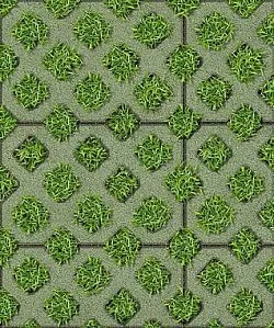 Тротуарная плитка ГАЗОННАЯ РЕШЕТКА Стандарт Зеленый Б.1.ГР.8 Выбор 80 мм