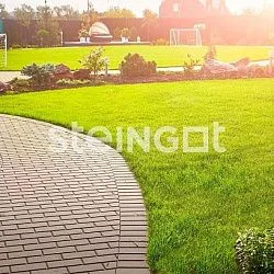 Тротуарная плитка Прямоугольник 200*100 Темно-Коричневый (верхний прокрас) Steingot 60 мм