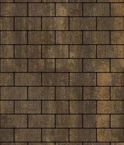 Тротуарная плитка ПРЯМОУГОЛЬНИК 200х100 Листопад гладкий Мокко Б.2.П.6 Выбор 60 мм