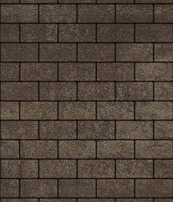 Тротуарная плитка ПРЯМОУГОЛЬНИК 200х100 Листопад гранит Хаски Б.2.П.6 Выбор 60 мм