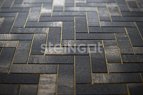 Тротуарная плитка Паркет Тигр Steingot 60 мм