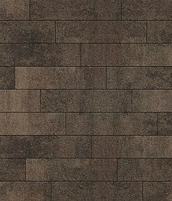 Тротуарная плитка ПРЯМОУГОЛЬНИК Листопад гранит Шелковица В.11.П.10 Выбор 100 мм