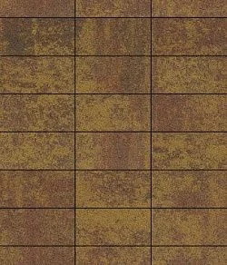 Тротуарная плитка ПРЯМОУГОЛЬНИК 300х150 Листопад гладкий Осень Б.10.П.8 Выбор 80 мм