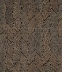 Тротуарная плитка СКОШЕННЫЙ ШЕСТИУГОЛЬНИК Листопад гранит Шелковица Б.1.ШГ.6 Выбор 60 мм