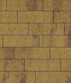 Тротуарная плитка ПРЯМОУГОЛЬНИК 750х250 Листопад гранит Янтарь Б.12.П.8 Выбор 80 мм