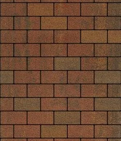 Тротуарная плитка ПРЯМОУГОЛЬНИК 200х100 Листопад гранит Арабская ночь Б.2.П.6 Выбор 60 мм