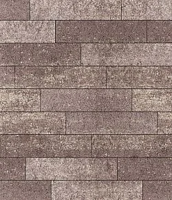 Тротуарная плитка ПРЯМОУГОЛЬНИК Искусственный камень Плитняк В.11.П.10 Выбор 100 мм