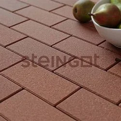 Тротуарная плитка Прямоугольник 200*100 Коричневый (верхний прокрас, минифаска) Steingot 60 мм