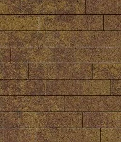 Тротуарная плитка ПРЯМОУГОЛЬНИК Листопад гранит Осень В.11.П.10 Выбор 100 мм