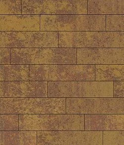 Тротуарная плитка ПРЯМОУГОЛЬНИК Листопад гладкий Осень В.11.П.10 Выбор 100 мм