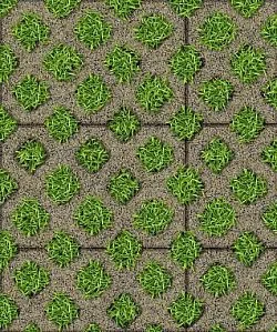 Тротуарная плитка ГАЗОННАЯ РЕШЕТКА Гранит Желтый с черным Б.1.ГР.8 Выбор 80 мм