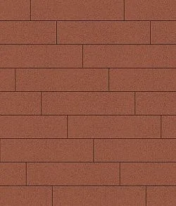 Тротуарная плитка ПРЯМОУГОЛЬНИК Стандарт Красный В.11.П.10 Выбор 100 мм