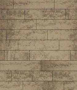 Тротуарная плитка ПРЯМОУГОЛЬНИК Листопад гладкий Старый замок В.11.П.10 Выбор 100 мм