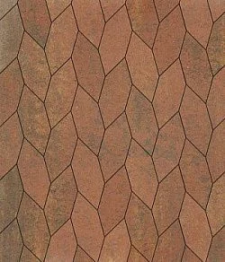 Тротуарная плитка СКОШЕННЫЙ ШЕСТИУГОЛЬНИК Листопад гладкий Арабская ночь Б.1.ШГ.6 Выбор 60 мм