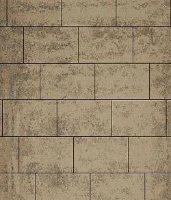 Тротуарная плитка ПРЯМОУГОЛЬНИК 750х500 Листопад гладкий Старый замок Б.14.П.8 Выбор 80 мм