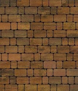 Тротуарная плитка АРЕНА Листопад гладкий Саванна Б.1.АР.6 Выбор 60 мм