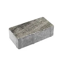 Тротуарная плитка ПРЯМОУГОЛЬНИК 200х100 Листопад гладкий Антрацит Б.2.П.6 Выбор 60 мм