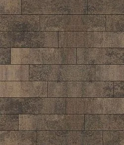 Тротуарная плитка ПРЯМОУГОЛЬНИК Листопад гладкий Шелковица В.11.П.10 Выбор 100 мм