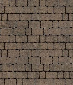 Тротуарная плитка АРЕНА Листопад гладкий Шелковица Б.1.АР.6 Выбор 60 мм