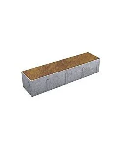 Тротуарная плитка ПРЯМОУГОЛЬНИК Листопад гладкий Осень В.11.П.10 Выбор 100 мм