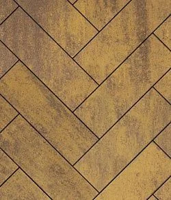 Тротуарная плитка ПРЯМОУГОЛЬНИК 600х200 Листопад гладкий Янтарь Б.6.П.8 Выбор 80 мм